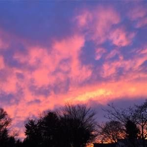 Meet your Posher, Ada